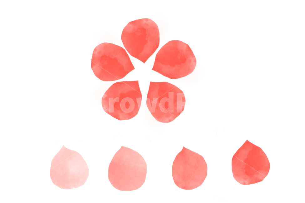 꽃,생화,수채화,일러스트,removebackground,스티커,누끼,누끼,remove background