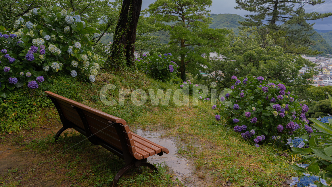 bench,벤치,furniture,가구,자연,풍경,꽃,자연,풍경,nature,landscape