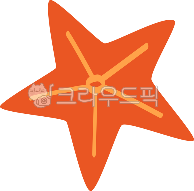 Starfish,sea,seafood,star shape,hand drawing,illustration,illustration,coast,starfish,under the sea,marine life,animal,decoration,embellishment,dakku,sticker,beach,summer