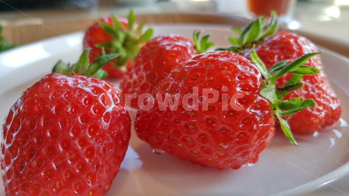 딸기,싱싱한,접시,strawberry,과일