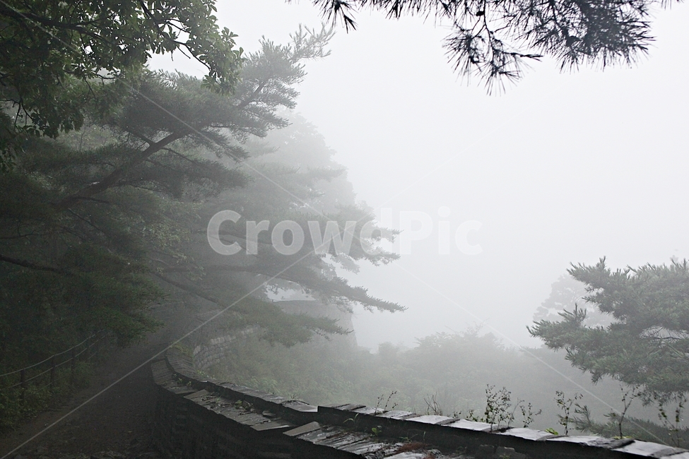 남한산성,성,성곽,둘레길길,숲,숲길,안개,돌담,담