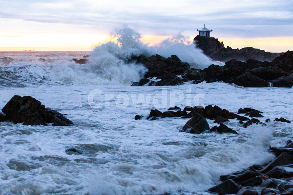 태풍,파도,자연,재난,날씨,자연재해,자연,풍경,nature,landscape,sea,바다,water,물,ocean,대양,outdoors,옥외