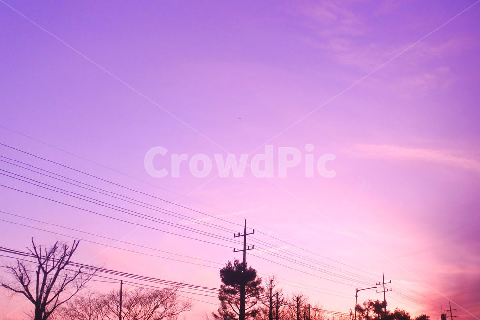 풍경,저녁,색깔,보라색,하늘,전봇대,sky,보라,나무,그림자,전깃줄,purple,violet,자연,풍경,nature,landscape,색깔,색상,색채,색감,color sense,color sensitivity,feeling of color