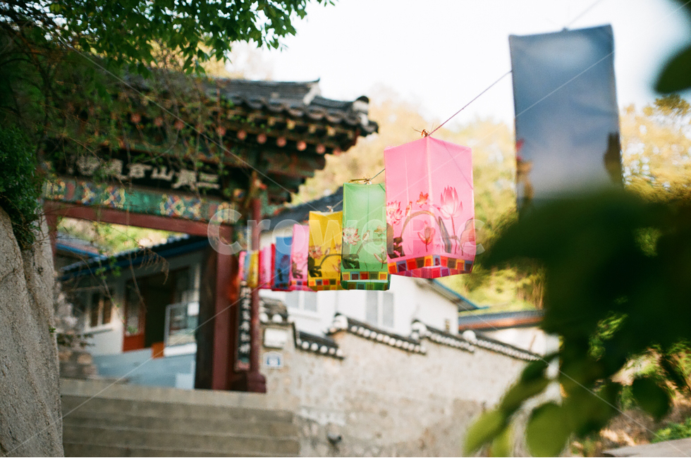 연등,고택,절,문화,필름,filmphoto,film,감성,traditional,한옥,풍경,종교,신앙,religion,belief,faith,축제,행사,festival,carnival,event