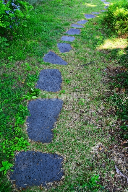 정원,가든,풀밭,신책로,힐링,잔디밭,걷고싶은,길,GARDEN,HEALING,자연,정원석,조경,나무,풀,그린,초록,봄,그늘,현무암,장식,데코레이션,자연,풍경,nature,landscape,ground,바닥