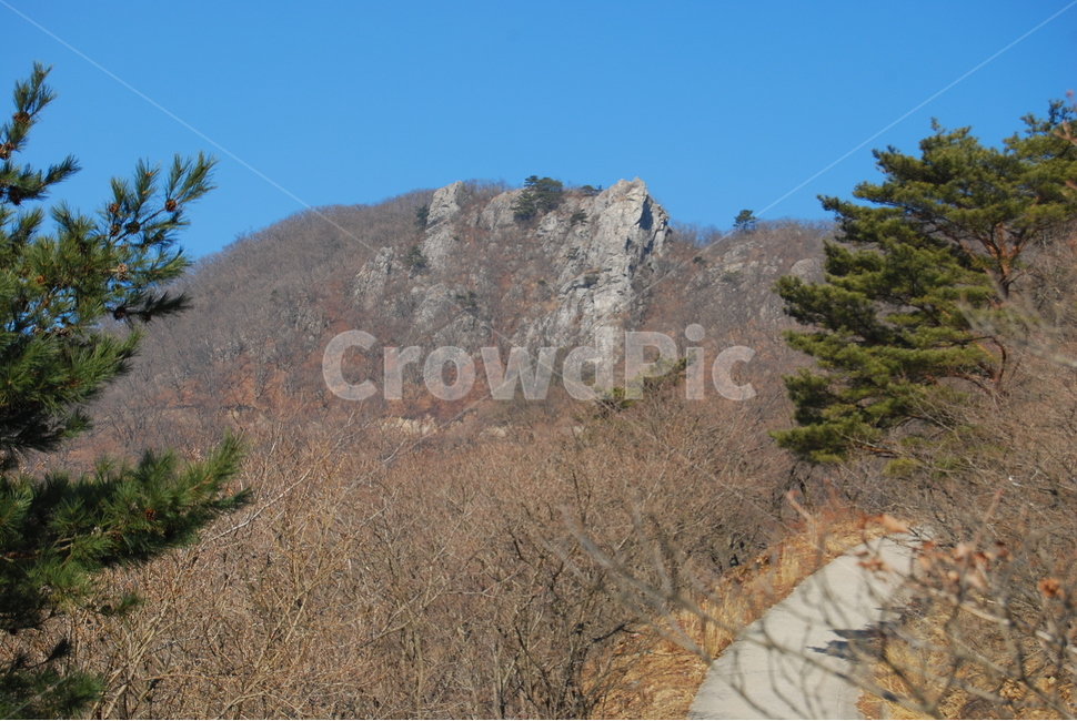 가지산,쌀바위,영남알프스,석남사숲,등산로,능선,치유,여행,돌,산행,힐링,자연,동행,등산,계절,한국,한국명산,한국등산,풍경,나무,하늘,바람,땅,자연,풍경,nature,landscape,한국자연풍경,한국자연경관,korea nature landscape,plant,식물,tree,abies,아비,fir,전나무,conifer,구과 식물,outdoors,옥외