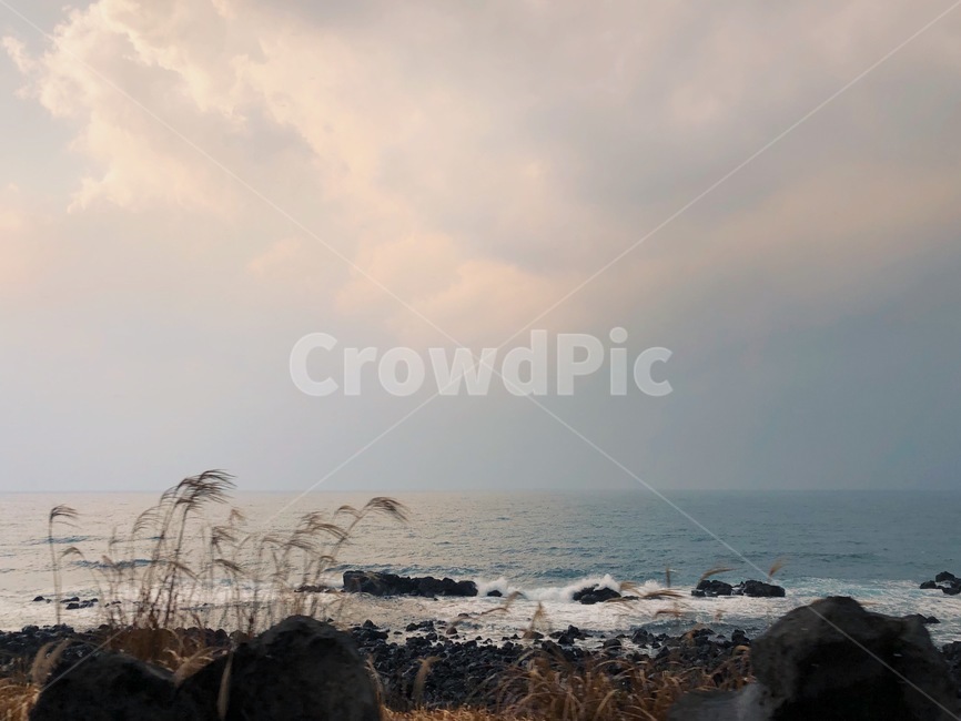 제주도,노을,바다,갈대,해안도로,자연,풍경,nature,landscape