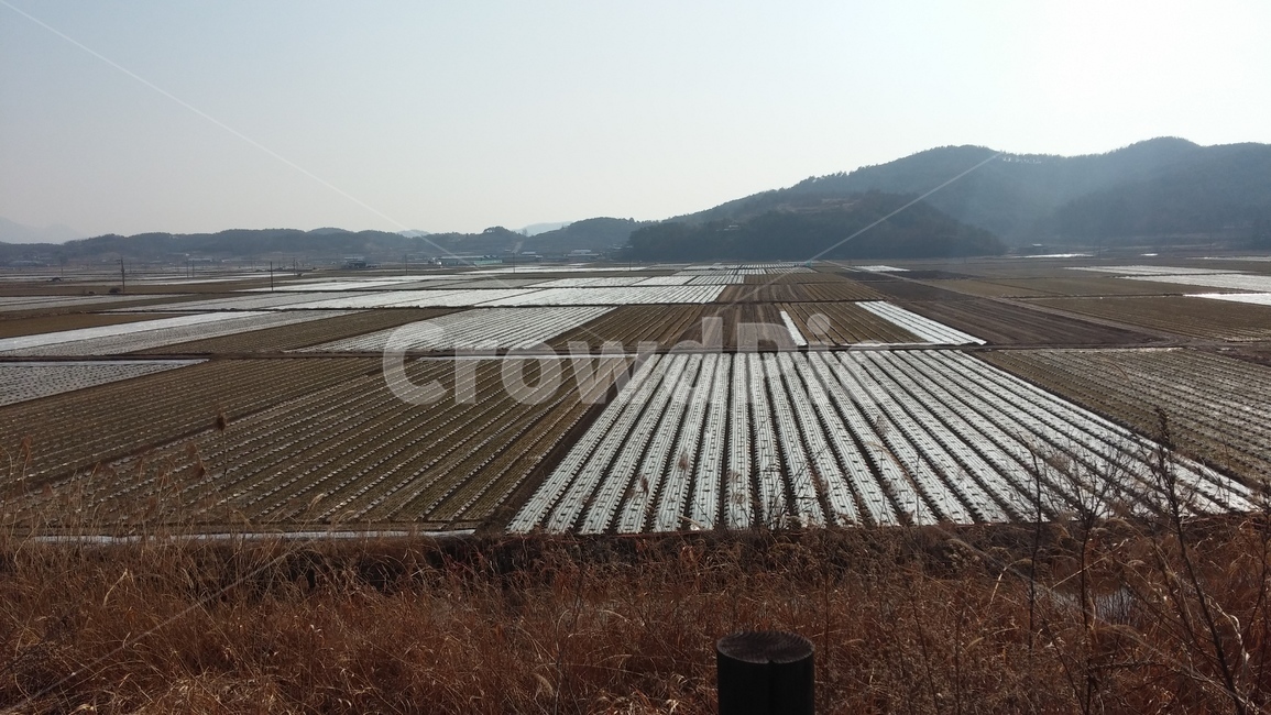 우포,우포늪,창녕,길,거리,농업,농사,agriculture,farming,farming industry