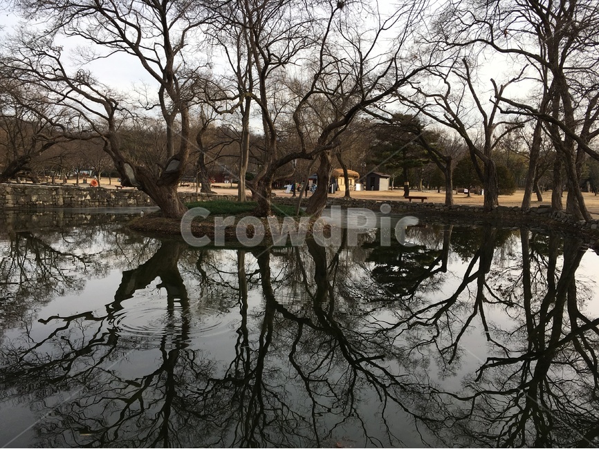 광한루,광한루원,연못,대칭,남원,gwanghallu,gwanghallupavilion,pond,symmetry,namwon,식물,자연,plants,nature,나무,trees,wood