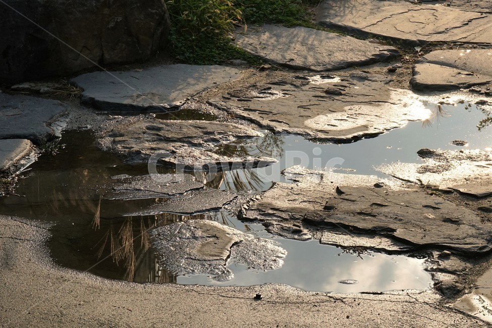 도로,물,빗물,고인물,돌,산책로,road,rain,water,reflection,반영,햇빛,자연,풍경,nature,landscape,puddle,흐리게 하다