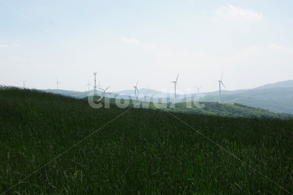 목장,파란들,풍경,초록,경치,자연,풍경,nature,landscape,산업,industry,industrial,에너지산업,energy industry,machine,기계,engine,엔진,motor,모터