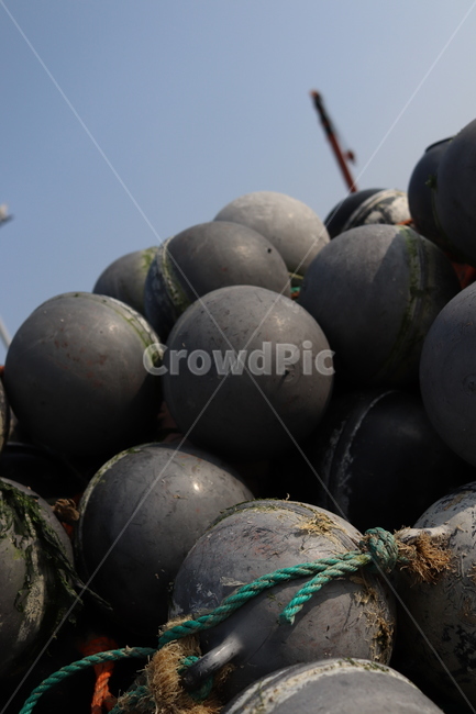 sphere,구체,부자,바다부자,둥근부자