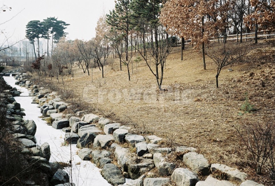 나무,돌,잔디,눈,겨울,겨울,계절,winter,season,자연,풍경,nature,landscape,rubble,파편,ground,바닥