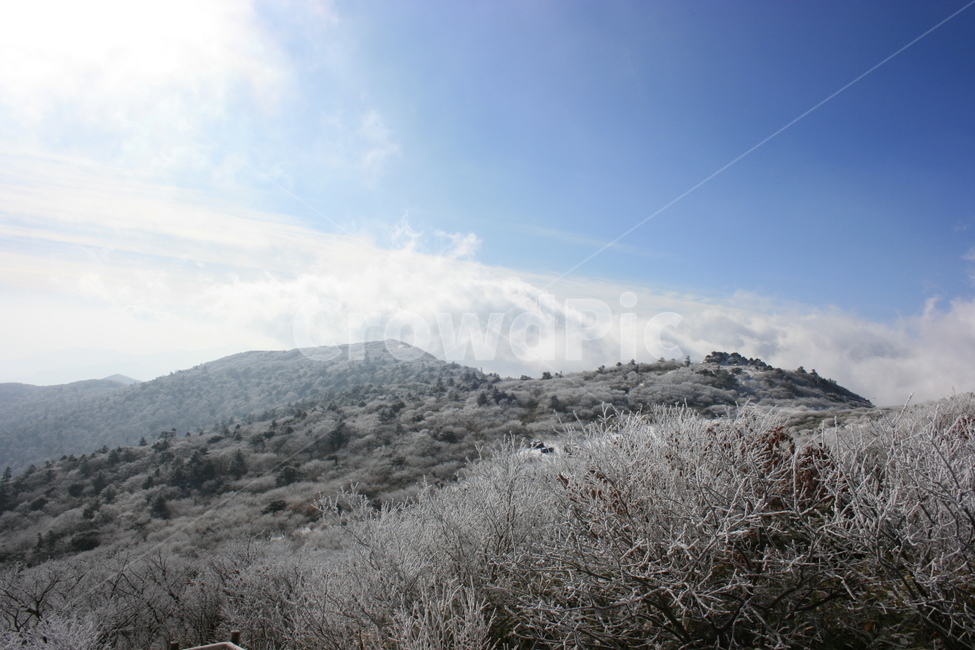 설산,눈꽃,풍경,산정상,등산