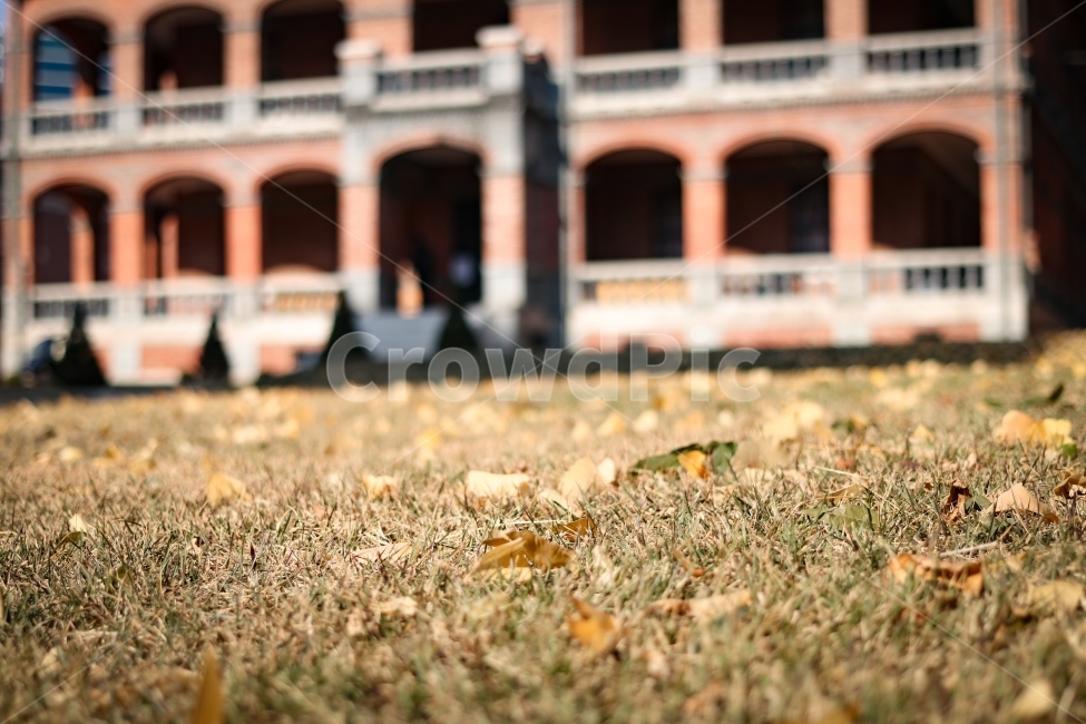 가을의끝에서,가을,좋은빛,낙엽,잔디,가을,계절,fall,autumn,season,감성,sensible,feeling,villa,별장,housing,주택,building,건물,house,집,ground,바닥