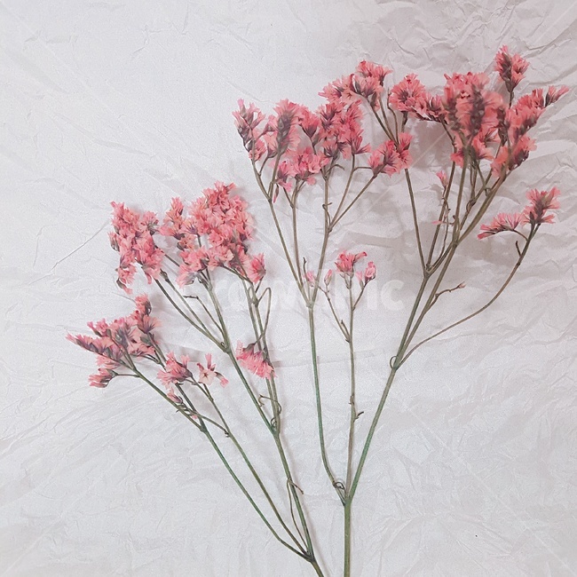 꽃,풀,조화,꽃다발,flower,bundle,꽃,flower