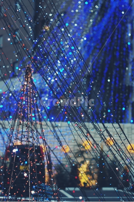 보케,boke,전구,전등,크리스마스,christmas,밤,night,나무,거리,겨울,winter,road,town,도시,city,야경,밤,풍경,nightscape,night,landscape,lighting,조명