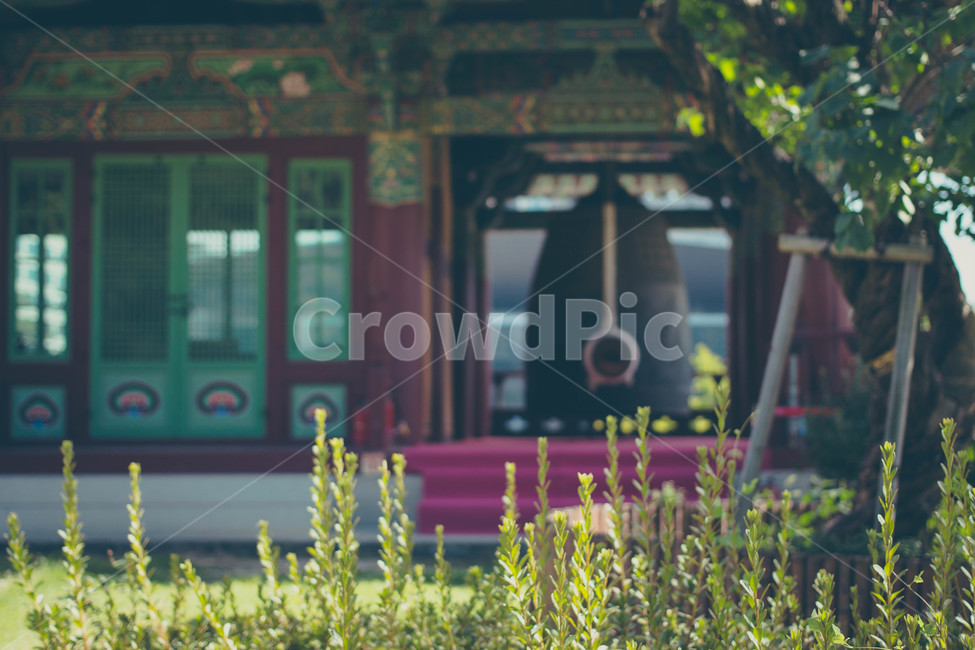 봉은사,절,temple,종,bell,풍경,landscape,한국전통,한국문화,korean traditional,korean culture,종교,신앙,religion,belief,faith,감성,sensible,feeling