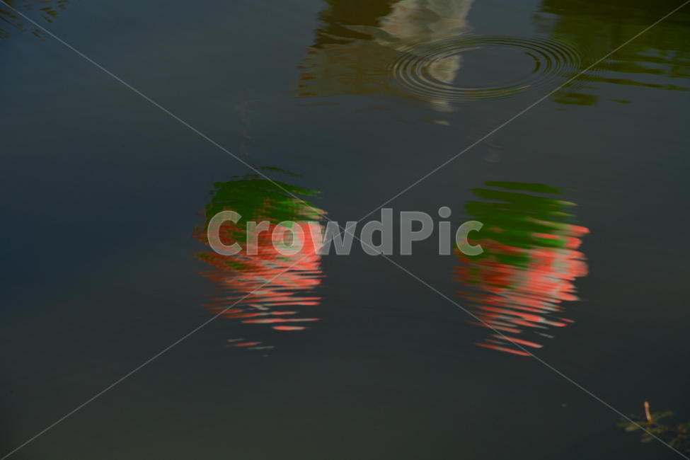 water,물,outdoors,옥외,자연,nature