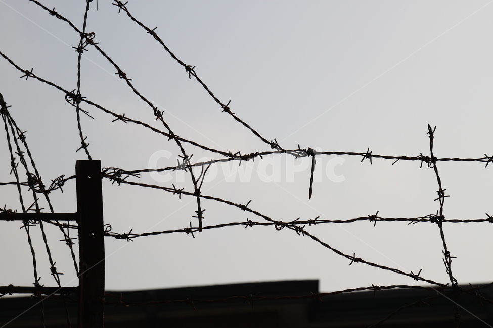 철조망,실루엣,와이어,barbedwire,wire,해질녁,선,흑백,모노톤,monochrome,black and white