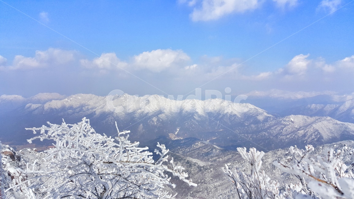 속리산,겨울,설산,눈꽃,상고대,하늘,구름,눈꽃풍경,겨울풍경,국립공원,힐링,눈풍경,파란하늘,snow,landscape,눈,화이트,자연,계절,서리꽃,winter,season,풍경,nature,한국자연풍경,나무,식물,trees,wood,plants,겨울,계절,winter,season,자연,풍경,nature,landscape,한국자연풍경,한국자연경관,korea nature landscape,ice,빙,outdoors,옥외