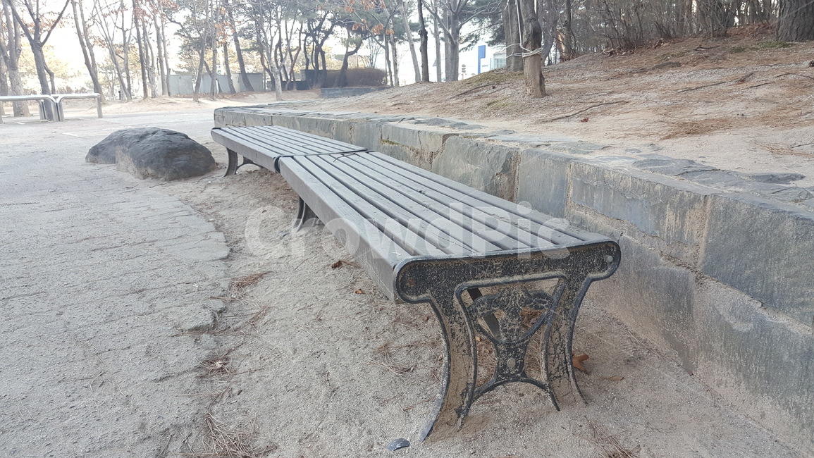 공원,벤치,의자,쉼,휴식,자연,야외,자연,풍경,nature,landscape,bench,park bench,공원 벤치