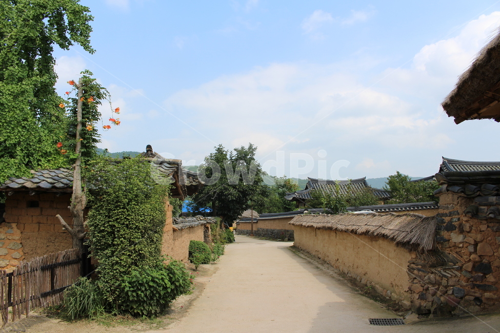 안동하회마을,안동,전통,기와집,기와,풍경,길,한국,outdoors,architecture
