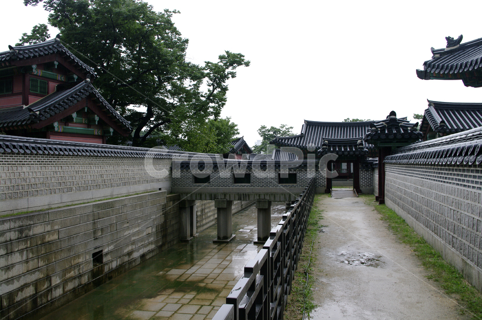 창덕궁,고궁,한옥,전통가옥,기와지붕,건축,traditional,담장,한국전통,한국문화,korean traditional,korean culture,랜드마크,landmark,tourist attraction,한국랜드마크,한국관광지,한국명소,korea landmark,korea tourist attraction,건축물,건물외관,exterior,building,structure,architecture,construction