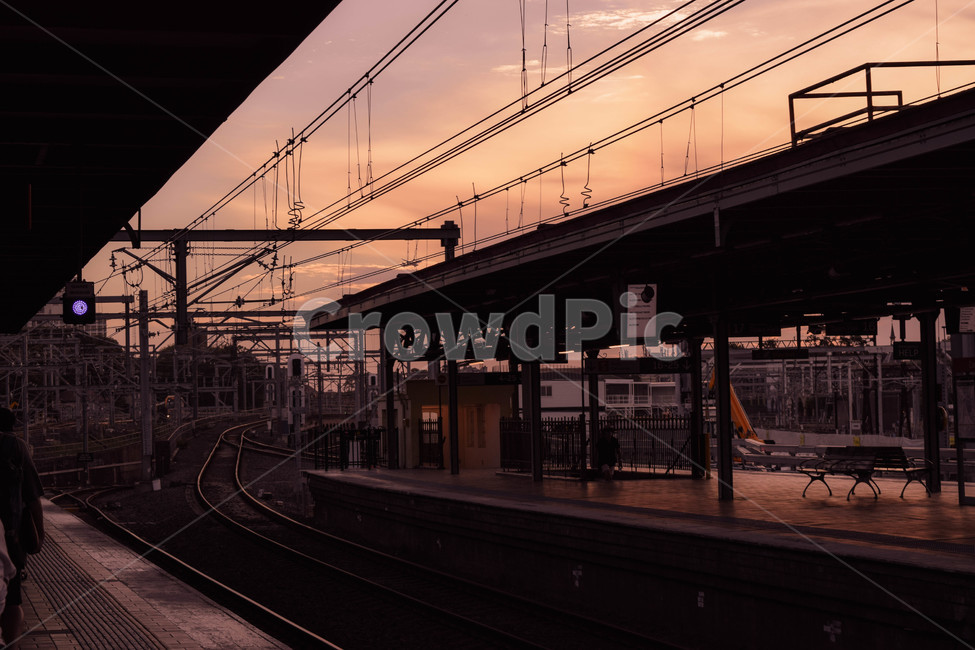 역,시드니,센트럴역,시드니센트럴,노을,교통,교통수단,traffic,transportation