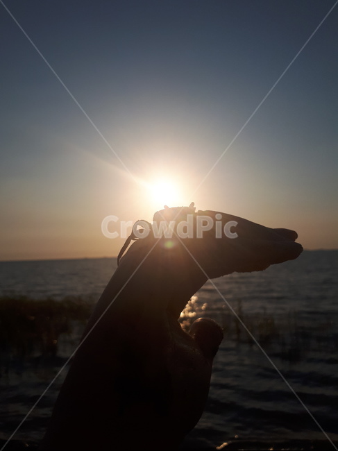 빛,바다,게,손,해,노을,풍경,light,동물