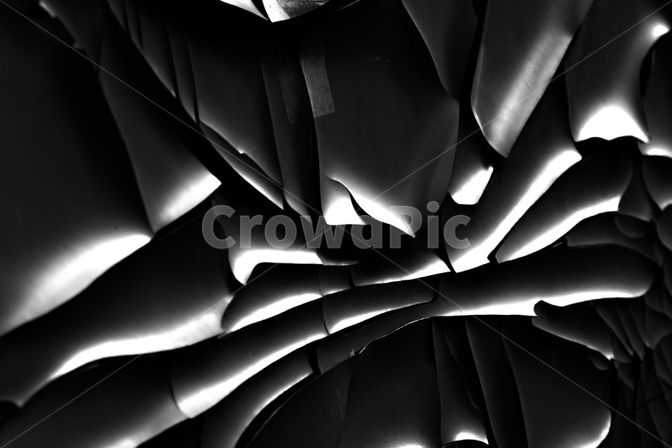 균열,명암,하이라이트,새도우,오브제,흑백,모노톤,monochrome,black and white