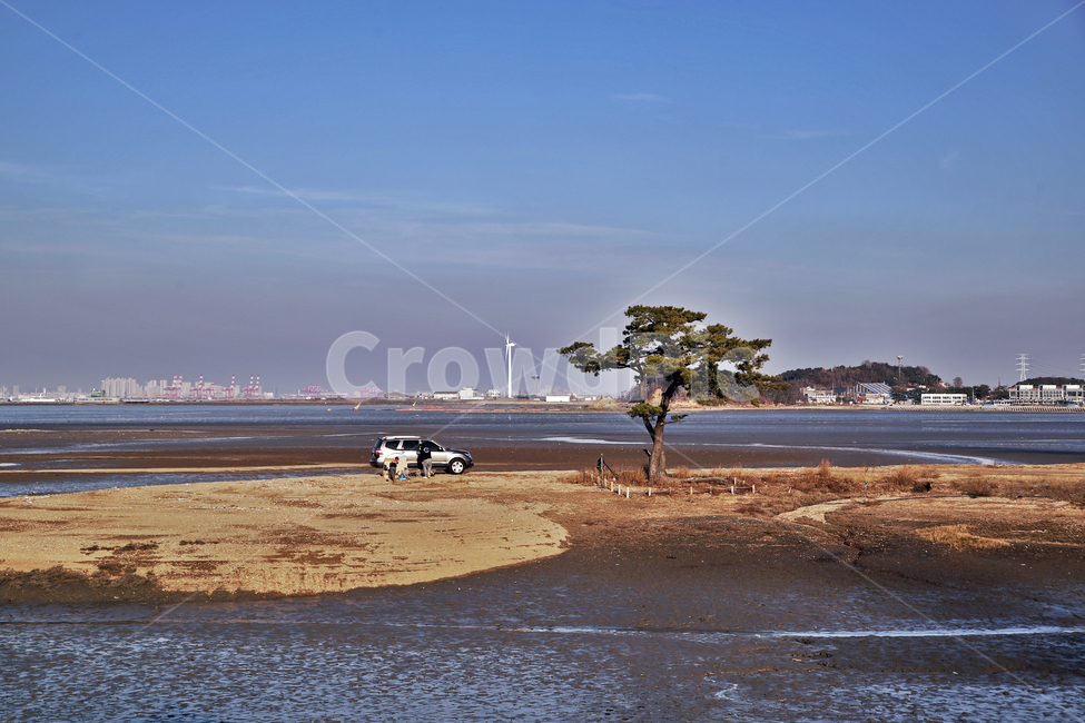 구봉도,대부도,안산시,바다,서해,미인송,부부송,소나무,썰물,자연,풍경,nature,landscape