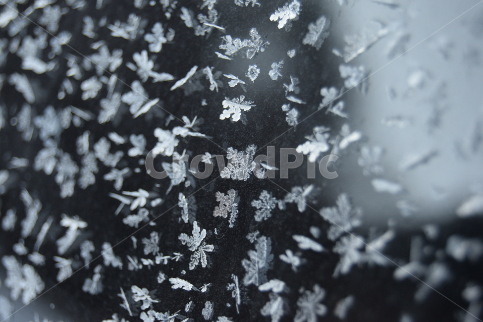 눈결정,눈,결정,얼음,추위,겨울,snowcrystal,snow,crystal,ice,cold,closeshot,겨울,계절,winter,season