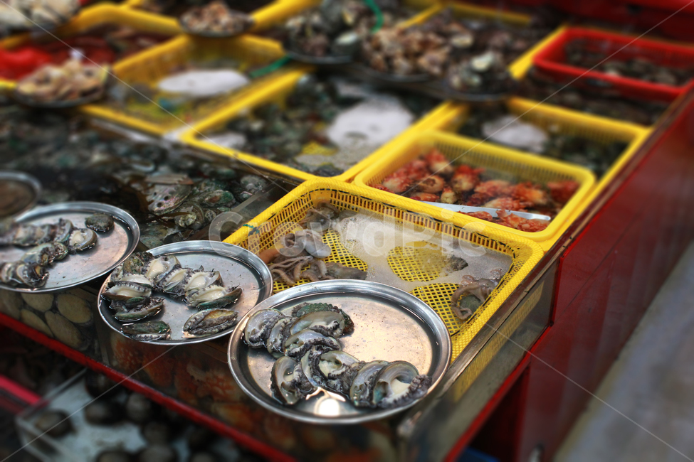 수산시장,시장,한국시장,해산물,물고기,fishmarket,fish,시장,마트,마켓,market,mart,market place,음식,식재료,요리,food,cook,meal,dishes,food reserves,수산물,해산물,fishery products,seafood
