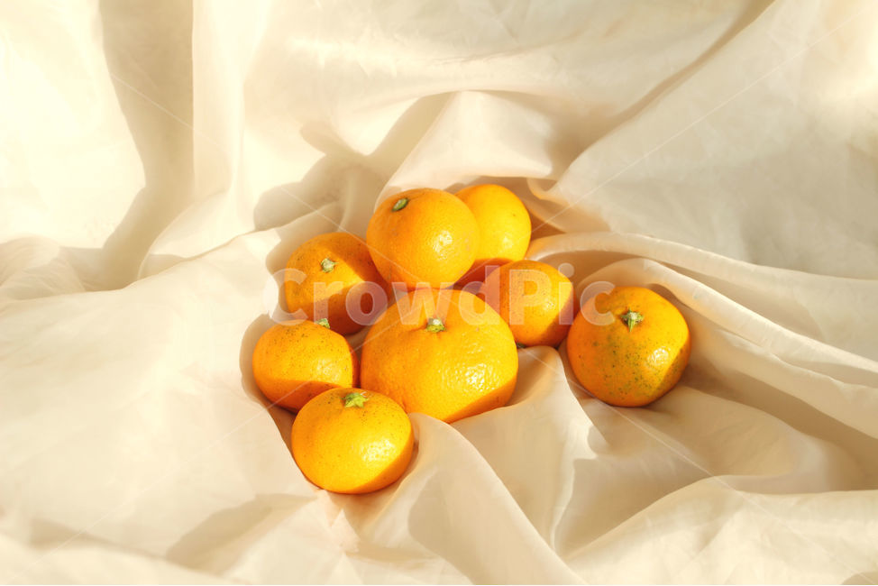 귤,겨울,주황,주황색,감귤,citrusfruit,감귤류과일,과일,fruit,음식,식재료,요리,food,cook,meal,dishes,food reserves,과일,열매,fruit