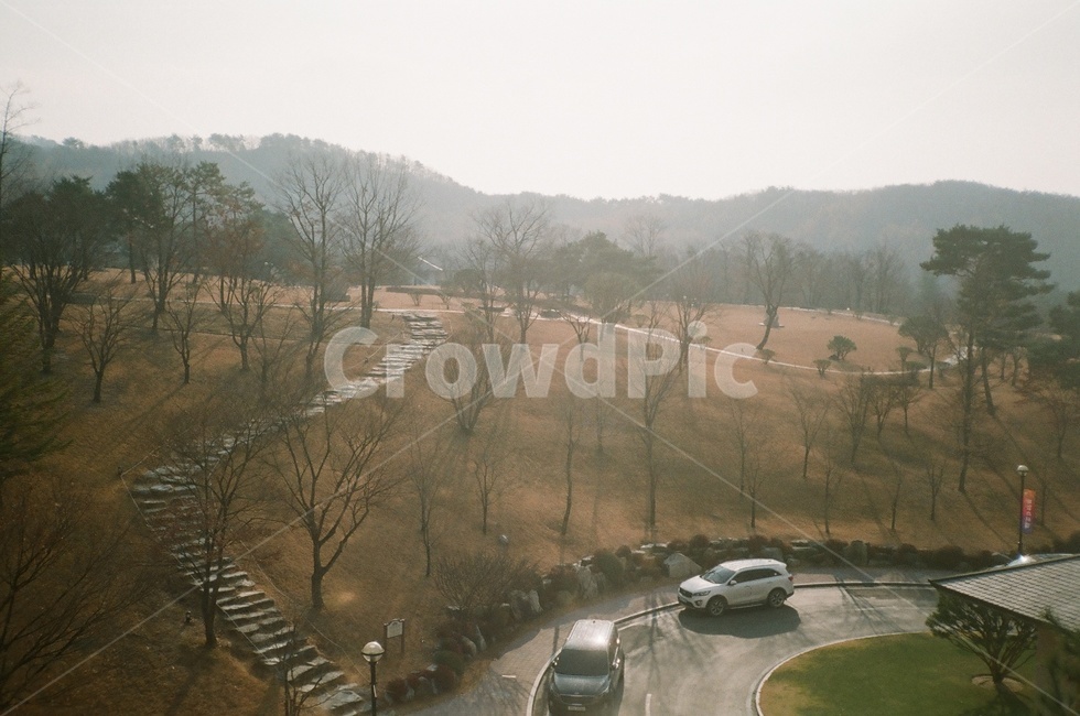 자연,필름카메라,풍경,산,아날로그,나무,자연,풍경,nature,landscape,vehicle,차량,transportation,교통,car,차,automobile,자동차,outdoors,옥외