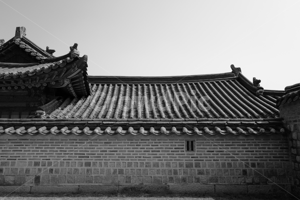 세계문화유산,창덕궁,궁궐,단청,건축,전통,한국전통,기와,흑백,모노크롬,지붕,문화재,한국전통,한국문화,korean traditional,korean culture,랜드마크,landmark,tourist attraction,한국랜드마크,한국관광지,한국명소,korea landmark,korea tourist attraction,흑백,모노톤,monochrome,black and white,건축물,건물외관,exterior,building,structure,architecture,construction