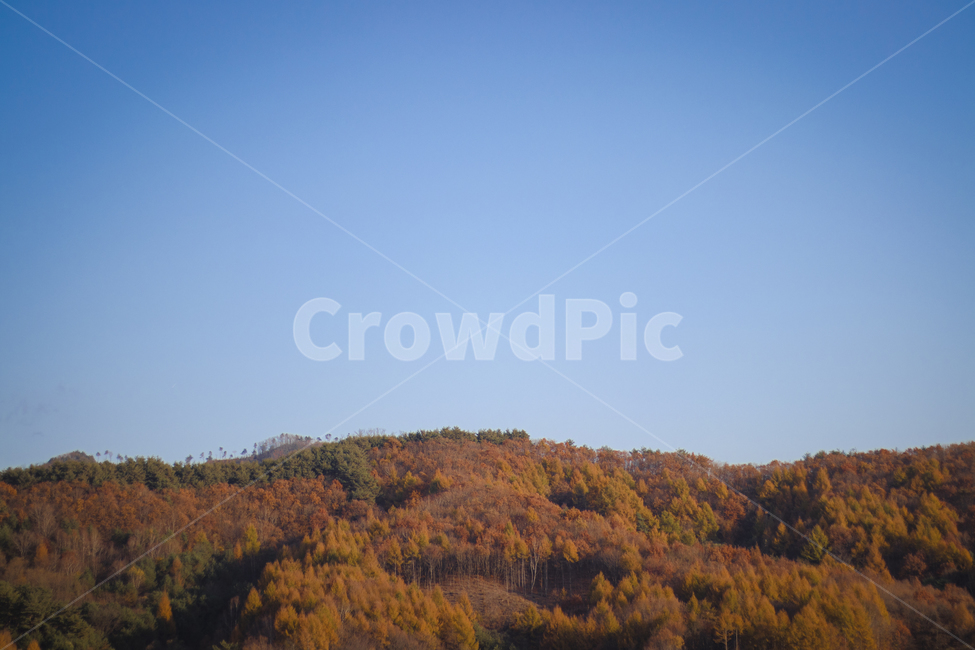 단풍,nature,자연,outdoors,옥외,산,가을,하늘,sky,자연,풍경,nature,landscape