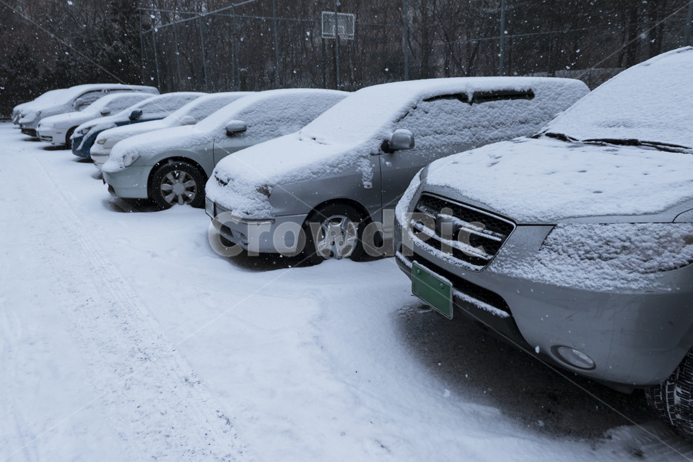 주차장,야외,자동차,차,승용차,눈,겨울,폭설,화이트,사이드미러,정렬,겨울,계절,winter,season,교통,교통수단,traffic,transportation,car,vehicle,차량,automobile