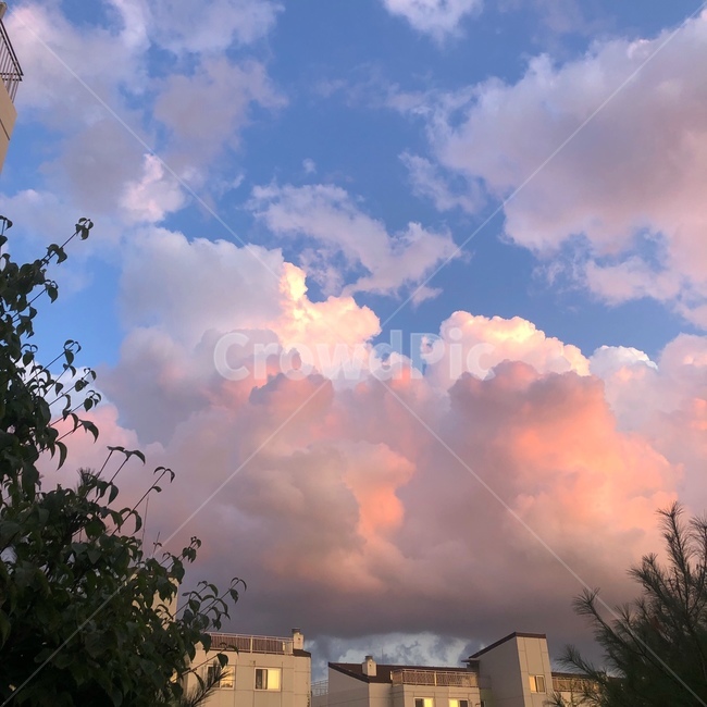 자연,날씨,구름,하늘,저녁밤,자연,풍경,nature,landscape,weather,outdoors,옥외