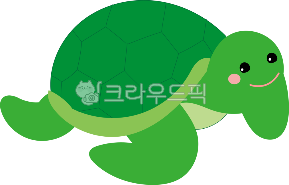 green,ocean,sealife,turtle,png,animal,illustration,sea creatures,marine life