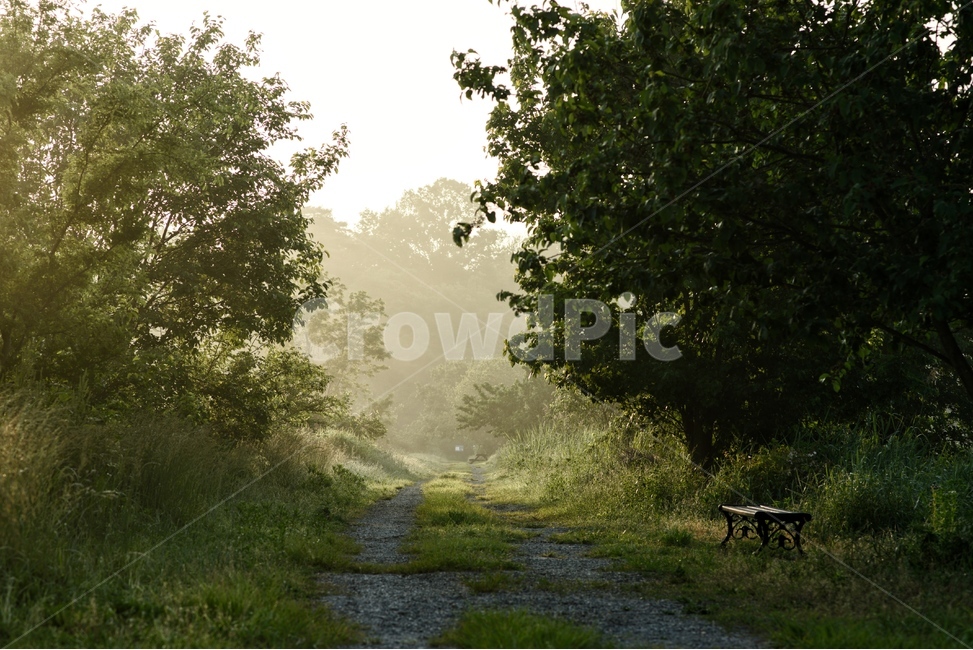 물안개,새벽,늪,일출,자연,풍경,몽환,자연,풍경,nature,landscape,휴식,힐링,rest,relaxation,healing,outdoors,옥외,weather,날씨