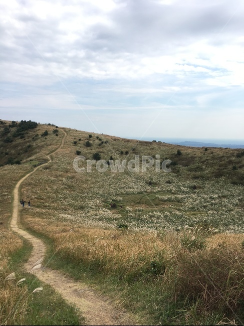 제주도,따라비오름,제주오름,오름,제주가을,가을풍경