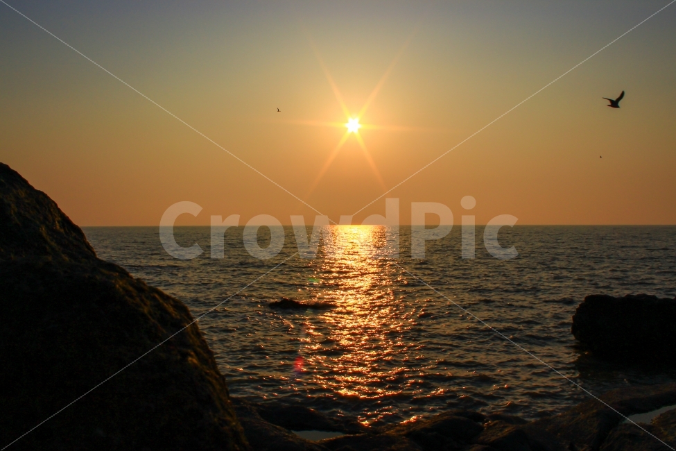 하늘,바다,여행,서해,백수해안도로,sky,sea,ocean,travel,westsea,풍경,landscape,매직아워,일몰,감성,sunset,emotion,자연,풍경,nature,landscape,flare,플레어,light,빛,sunlight,햇빛,bird,새,animal,동물