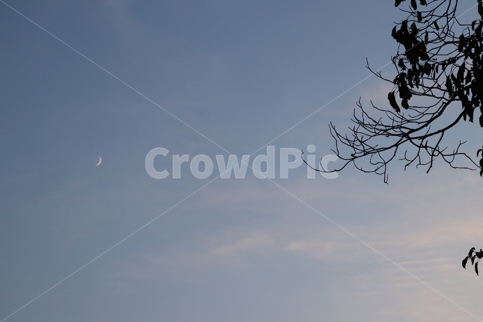 하늘,sky,저녁하늘,달,moon,초승달,blue,파란하늘