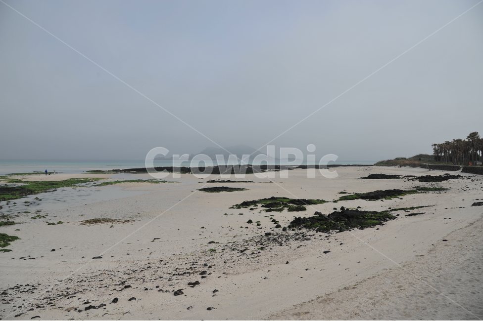 바다,하늘,제주도,새벽안개,협재해변,해변,바다,beach,sea