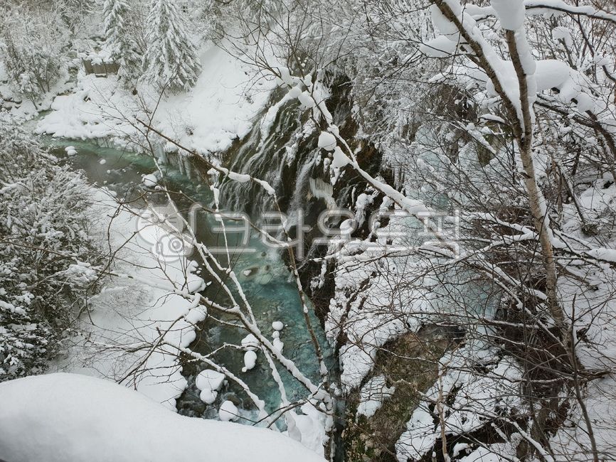 nature,자연,outdoors,옥외,ice,빙,snow,눈,삿포로,일본,흰수염폭포,비에이,비에이투어,투어,겨울