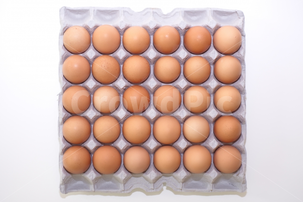 계란,달걀,음식,식재료,먹다,계란판,식료품,egg,단백질,담겨있는,보관,신선,식품,재료,오브젝트,요리,한판,흰배경,후레쉬,무농약,살충제,검사,인증,확인,30개,30알,생활,하이앵글뷰,음식,식재료,요리,food,cook,meal,dishes,food reserves,누끼,remove background