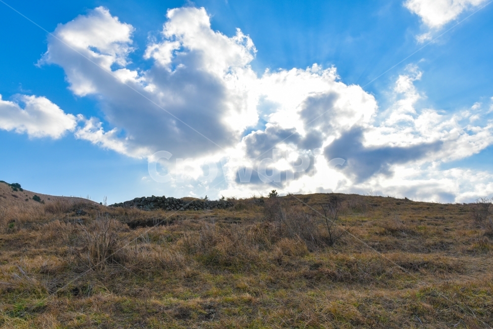 제주도,제주도풍경,용눈이오름,올레길,갈대,김영갑,두모악,자연,풍경,nature,landscape,outdoors,옥외
