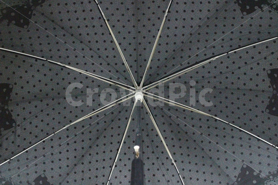 우산,우산살,쇠,손잡이,무늬,검은색,천,살,사물,물건,오브젝트,thing,object,matter
